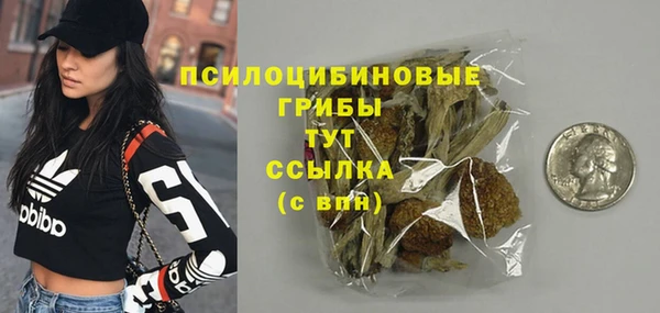 соль ск Алзамай