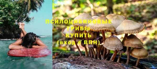 соль ск Алзамай