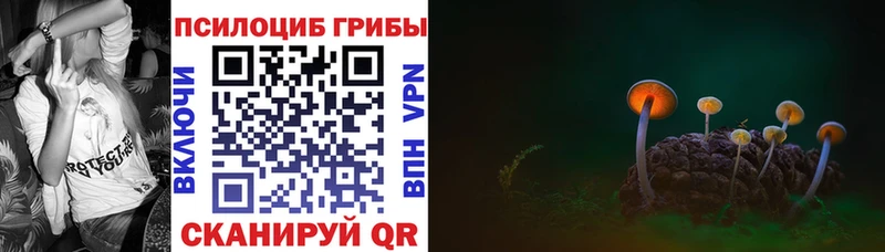 Галлюциногенные грибы Psilocybine cubensis  Купить где  Дивногорск 