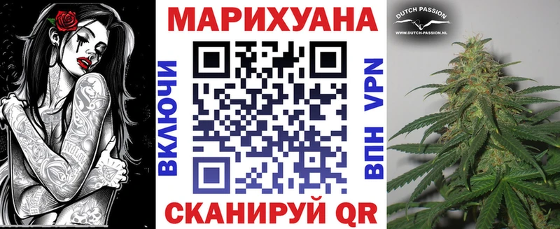 Купить Дивногорск Бошки Шишки ГИДРОПОН